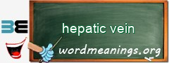 WordMeaning blackboard for hepatic vein